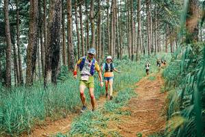 BIB: 
                            <button type="button" onclick="openModal(25654389)" class="btn btn-primary btn-sm float-right btn-popup" data-toggle="modal" data-target=".modal-high-quality">
                        <i class="fas fa-shopping-cart"></i> Add to Cart
                    </button>
                                            <button type="button" onclick="isThisMe(25654389, true)" class="btn btn-success btn-sm float-right btn-popup btn-isme hidden" data-toggle="tooltip" data-placement="bottom" title="นี่คือรูปของคุณใช่ไหม คลิกที่นี่เพื่อเอาเข้าอัลบั้ม">
                        <i class="fas fa-plus"></i> Add to album
                    </button>
                    <button type="button" onclick="isThisMe(25654389, false)" class="btn btn-warning btn-sm float-right btn-popup btn-isnotme hidden">
                        <i class="fas fa-ban"></i> Remove from album
                    </button>